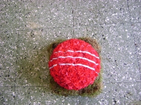 Cricket Ball