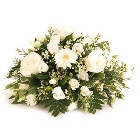 White Dream